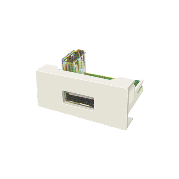 Panel echipat cu socket USB (1 modul) - DLX DLX-245-62 - 1