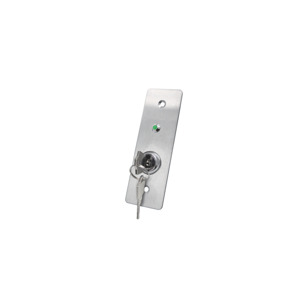 Buton de iesire cu cheie, montaj ingropat, inox, LED, NO-NC-COM, 115 x 40 mm CSK-408SLED - 1