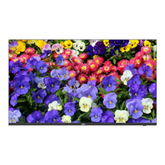 Monitor ultra-slim LED, 4K UHD, 43'', 2xHDMI, 2xDP, Audio 2x10W - UNV MW3243-F-V2 - 1